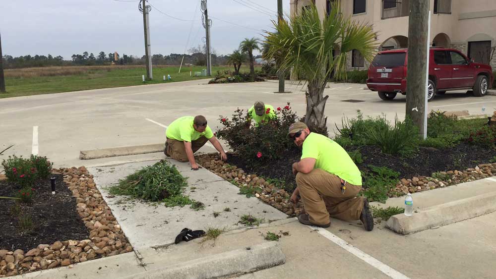 Commercial landscaping crew working in Houston, TX.
