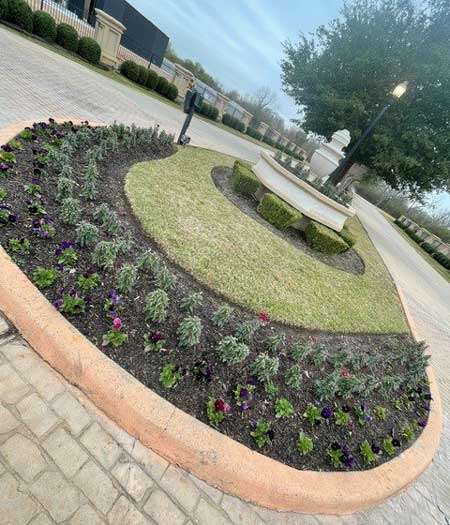 Commercial landscaping Houston TX project complete at the entrance of an office building.