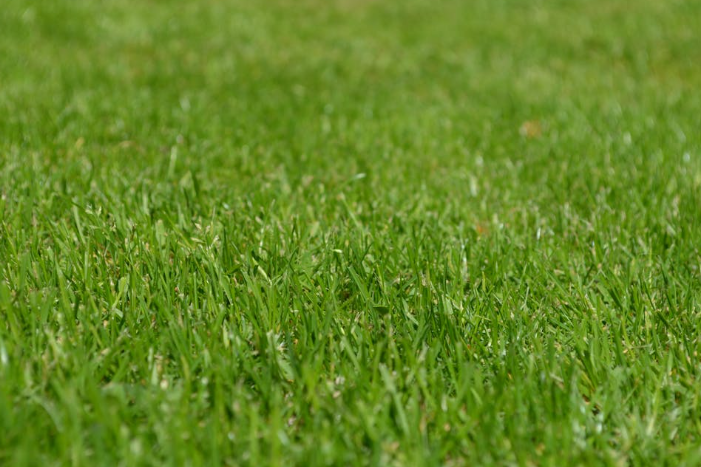 How Often Should You Call a Landscaper for Commercial Properties in Houston?