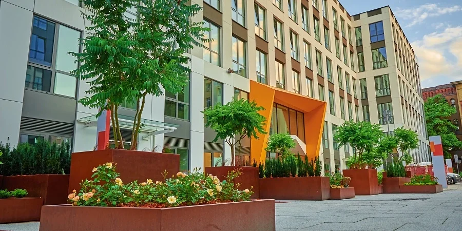 building landscape