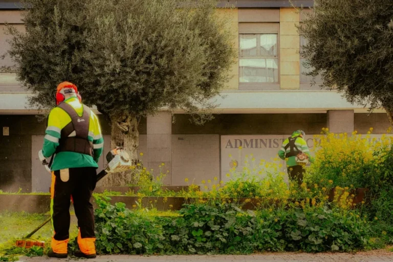 How often do you need landscaping services for commercial buildings? | High maintenance Landscaping