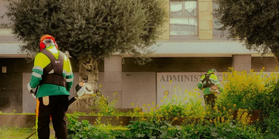 How often do you need landscaping services for commercial buildings? | High maintenance Landscaping