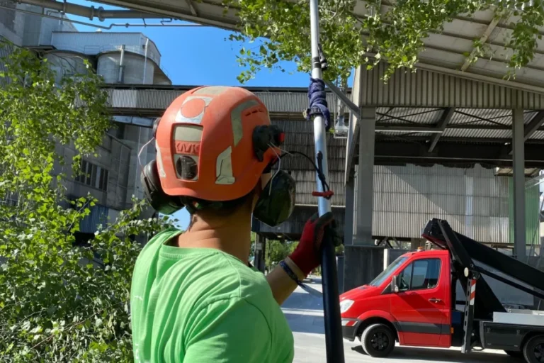 Tree Trimming for Commercial Properties in Houston: Why It Matters