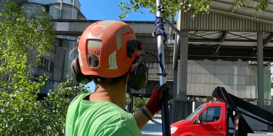 Tree Trimming for Commercial Properties in Houston: Why It Matters