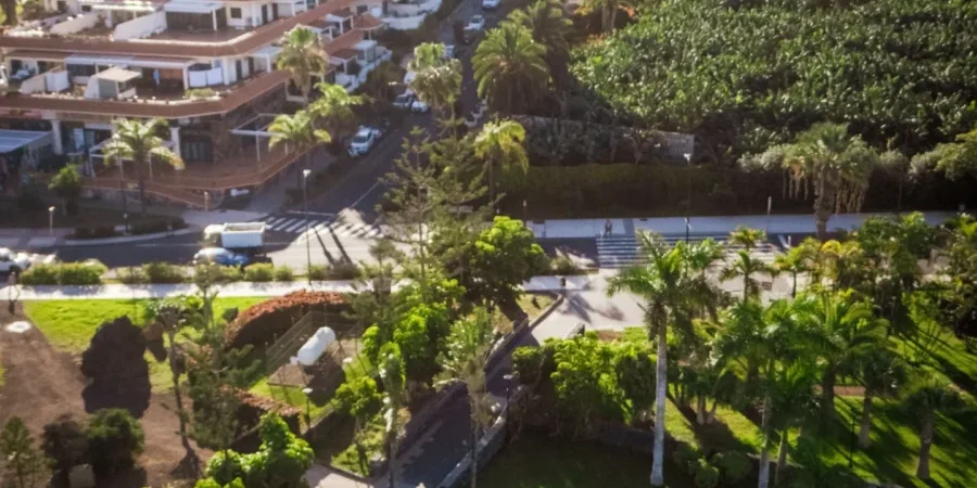 What HOA Boards Should Know About Landscaping for HOAs in Houston What HOA Boards Should Know About Landscaping for HOAs in Houston